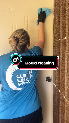 Even we were amazed by our own cleaning products today. The PRO Mould just kept killing the mould even after we had finished wiping. If you watch closely, the mould shadows just keep fading. #cleaningproducts #cleaners #procleansquad #cleaningbusinessowners #mouldcleaning #cleanlikeapro