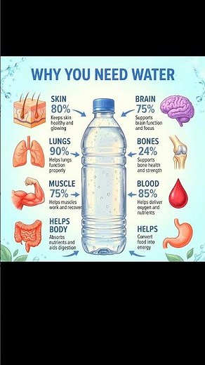 Why You Need Water: The Key to Every Body Function