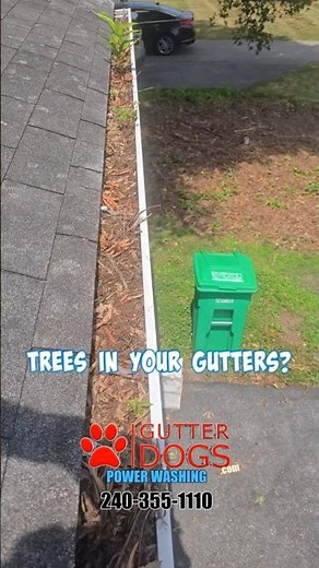 Clogged Gutters Fixed Fast In Temple Hills MD