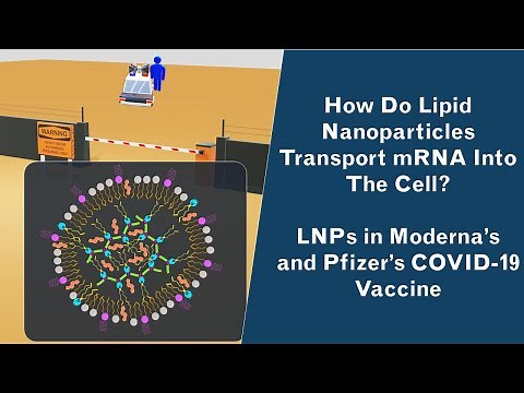 Lipid Nanoparticles - How do they work - Structure of LNPs - LNPs in mRNA vaccine Pfizer/Moderna