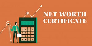 Net Worth Certificate | Get Within 24 hours | Visa | ₹2500 onwards