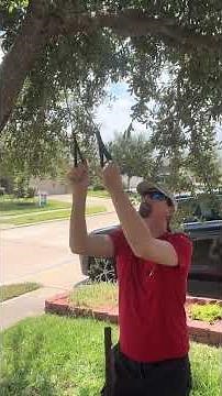 SOG pocket chainsaw review We test this on a limb that needs to be cut for holiday decorations