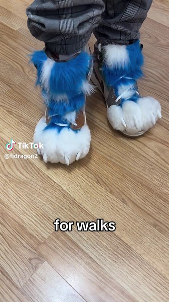 Types of Dragon Paws for Every Occasion