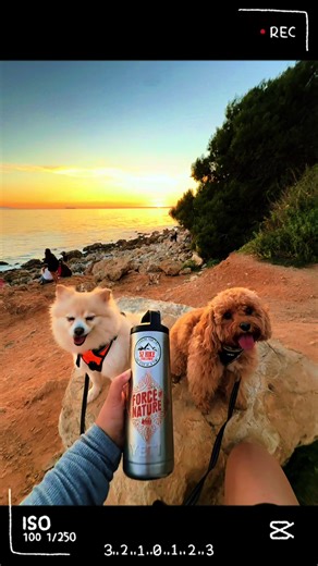 📍 Terranea and that sunset for Luna and Maple’s Hike No. 2 #52HikeChallenge2026 #52HikeChallengePetSeries for Luna and Maple #52HikeChallenge and @52HikeChallenge SoCal is so beautiful 🤩