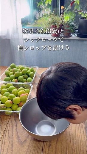 Making [Plum Syrup] in a Ziploc bag with my second son! #EasyRecipe #Cooking #PlumSyrup