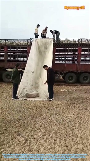 The Art of the Slide: Manual Sheep-Unloading from Truck to Turf