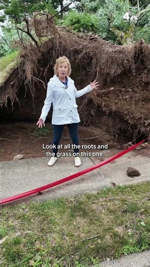 Areas with worst storm damage in NJ may be without power for days | NBC New York