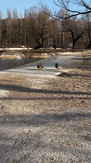 Bunica - još malo pa gotovo Video: Mostar - Prostori koji pokreću | Mostar.live