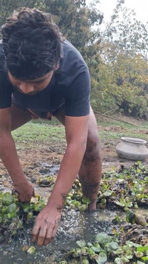 Fishing With Hand. Hand Fishing 2026 #shorts2026 #fish #fishing