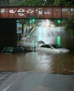 Fallen trees, traffic and flooding - rain wreaks havoc in Johannesburg | News24