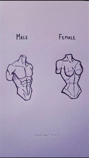 How to draw torso sketch✏️😳 #shorts #animeeart #drawing #art #tutorial #howtodraw #drawingtutorial