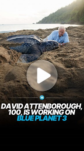 The 🐐 Sir David Attenborough has no plans to slow down at 100, as he works on Blue Planet III 🐋 What a LEGEND 👏 #blueplanet #davidattenbrough