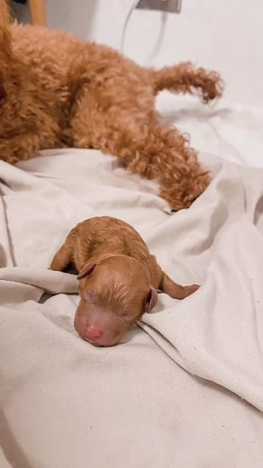 LOVECLUBJEWELRY on TikTok