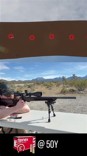 This ammo continues to impress!