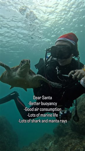 Reef Oasis Diving Center on Instagram: "Dear Santa, This year I don’t need gifts… Just better buoyancy, legendary air consumption, colorful reefs full of life, more sharks & manta rays, and a New Year swim with turtles 🐢✨ If you can deliver all that to Reef Oasis Diving Center Fujairah, I promise to stay off the reef and check my gauges 🎅🤿 New year, new dives, same underwater obsession 💙🌊 #DearSanta #NewYearDives #ReefOasisDivingCenter #FujairahDiving #ScubaLife #TurtleSwim #UnderwaterHumor
