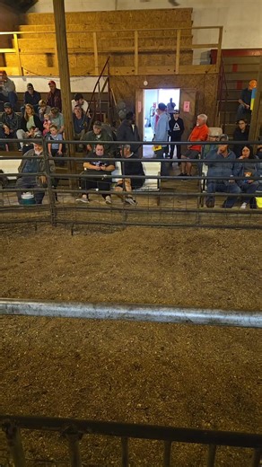 7.6K views · 78 reactions | West Tennessee Auction Barn on Reels | Facebook