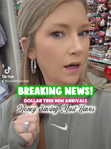 Dollar Tree Haul: Discover New Money-Saving Arrivals