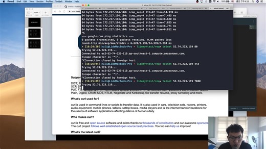 ping telnet 與 nslookup