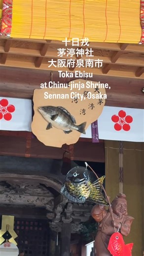 ◇◆茅渟神社で十日戎◆◇ Toka Ebisu at Chinu-jinja Shrine 先週、泉南市は十日戎で賑わいました🥰樽井にある「茅渟神社」に宵えびすの朝、いってきました^_^ 平日でのんびり黒鯛づくしを見回ることができましたよ。 南海樽井駅から徒歩7分。静かな樽井のまちにあります。 「ちぬ戎」とよばれる十日戎！ ☺ 大阪湾は古くは「茅渟の海」と呼ばれていて… 神武天皇東遷の折、傷ついた兄の五瀬命が近くの「山の井」で血を洗い、 海がその血で染まり「血の沼」となった事が「茅渟」の由来と伝わっています。 大阪湾でよく揚がる「チヌ鯛」（黒鯛）の大漁祈願に、全国から釣り人が訪れる神社でもあります。 釣り人の安全祈願と🐟の供養に「供養碑」も建てられました。 こちらは絵馬も🐟の形｡ 茅渟神社では、おなじみ、おこさまにも釣りやすいように低くつくられた、海に みたてた青い桶から、釣竿でチヌ（クロダイ）の形の”一年安鯛(アンタイ)”おみ くじをつりあげます☺️ 泉南市観光ガイド「恋するせんなん」 茅渟神社 https://welcome-sennan.com/tourist-spots/