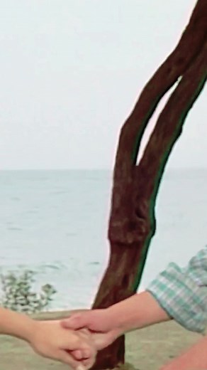 Ibrahim Erkal Concert in Sulaymaniyah, Dohuk, Erbil, Kirkuk, Zakho