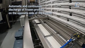 Automatic Horizontal Plate Freezer in Processing Facilities