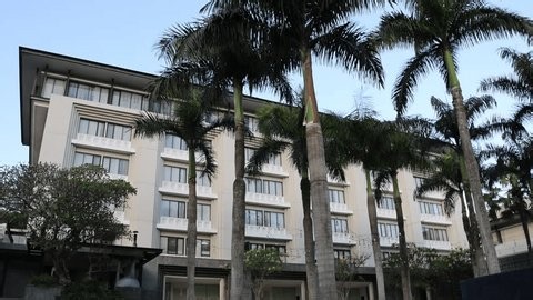 clip-4177834113-tall-palms-frame-modern-multi-story-building-light