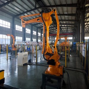 [Hot Item] High-Precision Robot Arms for Product Palletizing