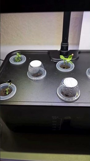 Grow Fresh Herbs at Home FAST! 🌱⚡ Indoor Hydroponic Garden System | Smart LED Grow Kit