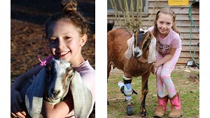 Goat gets prosthetic leg from TV reality show expert after girl's suggestion, farm owner says