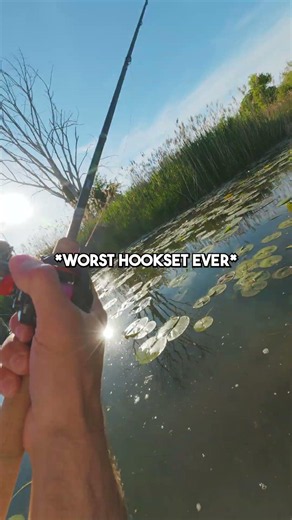 Fishing in a Swamp