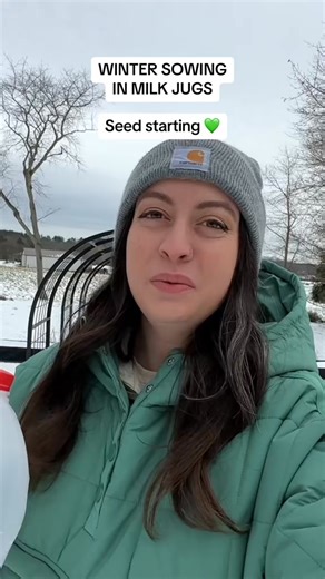 You don't need an expensive grow light set up to start seeds for your garden - with winter sowing, all you need is a milk jug! #wintersowingworks #seedstarting #wintersowingseeds #wintersowing #startagardenwithme | thecottagepeach