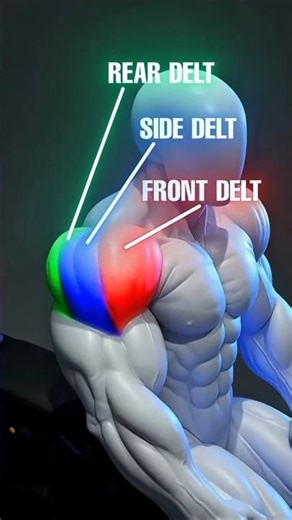 Complete Shoulder Workout for Rounder Delts | Build Width, Size & Upper-Body Proportions