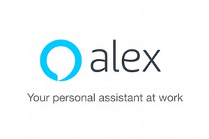 Alex - Your personal assistant at work