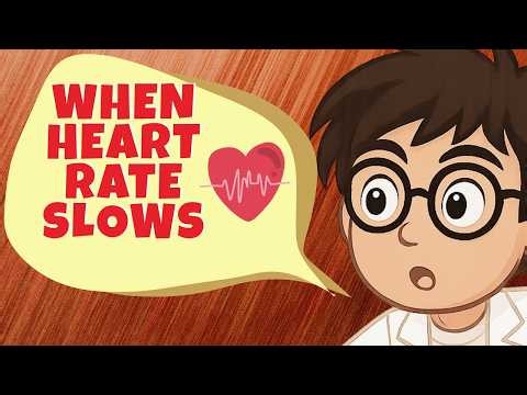 Slow Heart Rate : Doctors Solve the Heartbeat Mystery