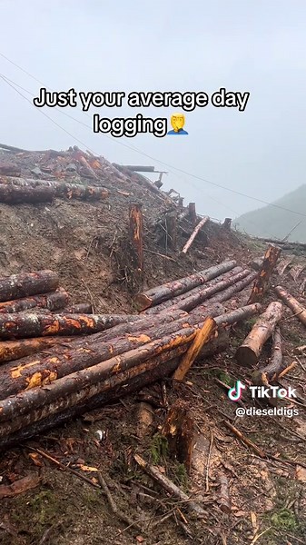 Logging Mechanics: A Day in the Life of a Field Mechanic