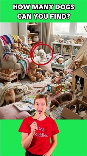 How Many Dogs Can You Find? 🤔🐶 #dogs