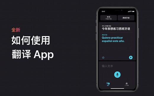 如何使用翻译 App - Apple 支持