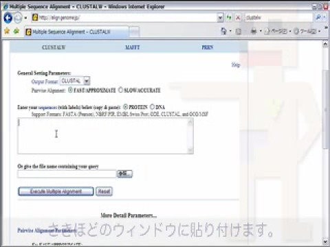 配列のアラインメント作成ツールClustalWを使い倒す