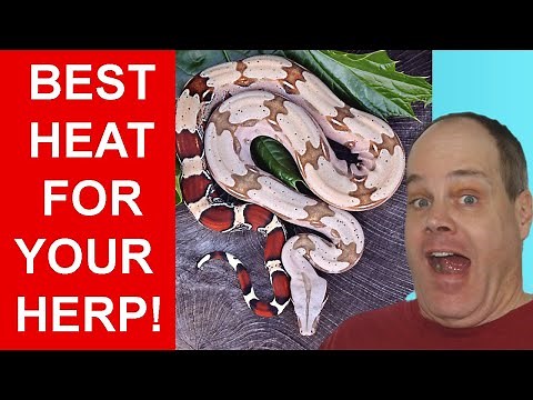 How to use Radiant Heat Panels to Heat your Pet Reptiles!