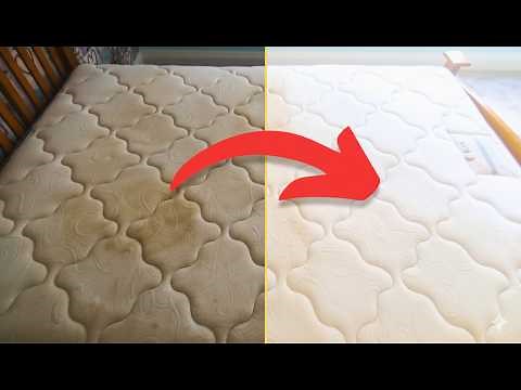 How to Clean a Mattress Like a Pro