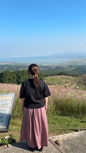 .諫早PV29 白木峰高原のコスモスが満開です！ お天気が気になりますが、ぜひお早めにお出かけください。 2025年 コスモス（白木峰高原） （動画は令和7年10月17日に撮影したものです） #諫早市 #白木峰高原 #コスモス | 諫早日和（諫早市役所）