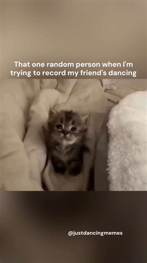 Your favorite meme creator! 😎 on Instagram: "They wanna be included 😭 Laugh, dance and scroll! 💃🕺 Follow @justdancingmemes for the best dance memes that hit every beat – because life's better with rythm and humor! 😀 🎵 Madonna - Vogue . . . . #justdancingmemes #justbachatamemes #bachata #dance #dancing"