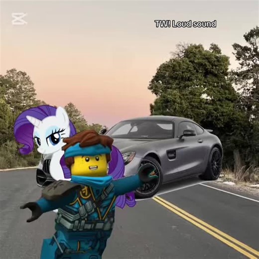 Introductory Video: Why Not Share?