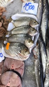 109K views · 1.5K reactions | Poissonnerie Restaurant El,Marino on Reels | Facebook