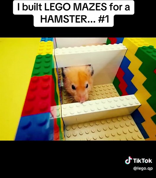 I built LEGO MAZES for a HAMSTER... #lego #legomoc #legomaze #hamster #hamstermaze #hamsterlego