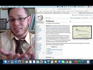 Ethnography and Field Notes