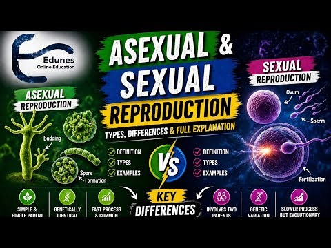 Asexual vs Sexual Reproduction 🧠 | 5 Differences You’ll Never Forget! | Don't Miss It