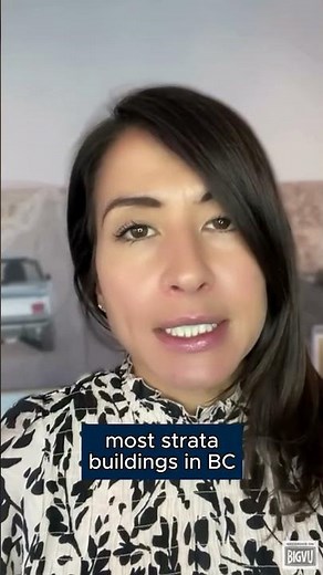 Understanding Special Levies in Stratas: How Much is 'A Lot'?