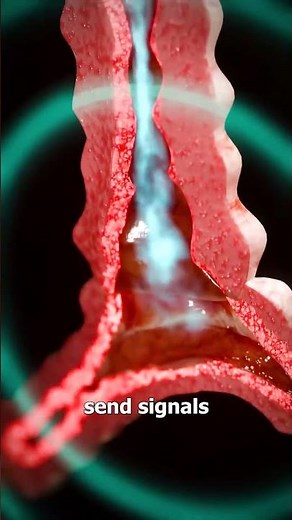 How An Inhaler Works? 🤔 ইনহেলার কেন জরুরি? | Asthma Attack & Medicine Delivery