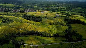 2K views · 13 reactions | Banaue rice terraces, system of irrigated rice terraces in the mountains of north-central Luzon, Philippines, that were created more than 2,000 years ago by the Ifugao people. Amazing things you probably didn’t know about BANAUE RICE TERRACES . #Tabeerfacts #tabeertours #bestagency #tabeertours #iloveUAE #promotion #besttravel #myjourney #tabeercare #ilovetabeertours | Tabeer Tours | Facebook